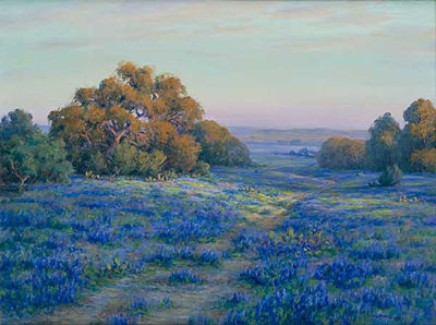 Burnet County Evening