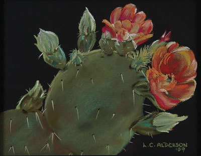 6th Street Cactus, No. 1, 2009 by Lisa Alderson - Auction record, sale price, and art valuation. Compare with similar artists and explore comparable artworks.