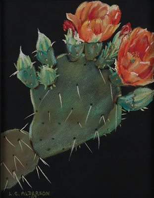 6th Street Cactus, No. 2, 2009 by Lisa Alderson - Auction record, sale price, and art valuation. Compare with similar artists and explore comparable artworks.