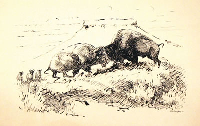 Untitled-Buffalo Bulls Fighting, c. 1935