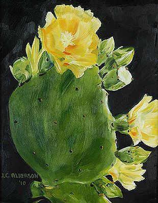 Prickley Pear Cactus
