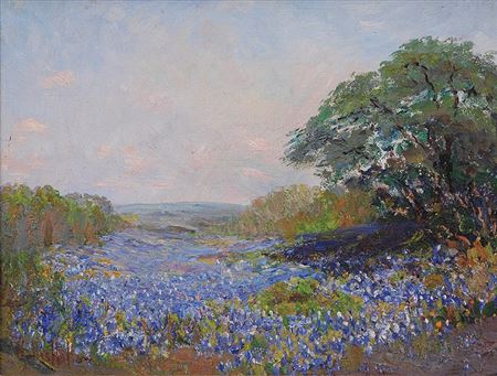 Bluebonnets