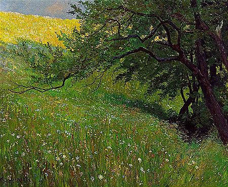 Frühsommerliche Blumenwiese