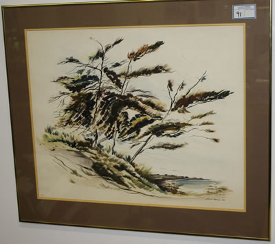 Pine Trees