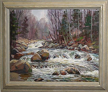 Winter stream