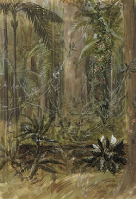 Clearing in a Palm Forest (2) by Charles William Hamilton Dicker - Auction record, sale price, and art valuation. Compare with similar artists and explore comparable artworks.