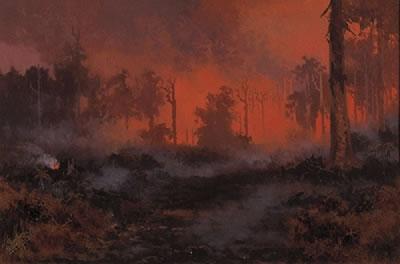 Fire in the Dandenong Ranges by Naylor Gill - Auction record, sale price, and art valuation. Compare with similar artists and explore comparable artworks.