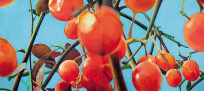 Untitled 20030101 2003 by Tim Maguire - Auction record, sale price, and art valuation. Compare with similar artists and explore comparable artworks.