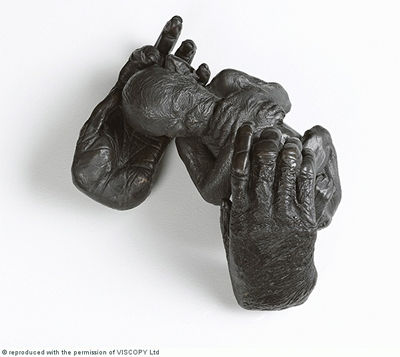Baby Chimpanzee