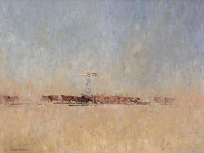 Gulf Country Bore
