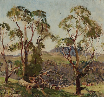 Mt Franklin, Near Hepburn Springs
