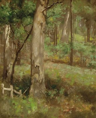 Spring Morning