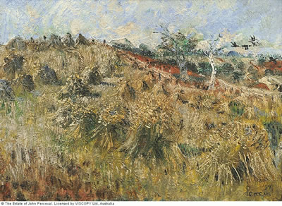 The Cornfield