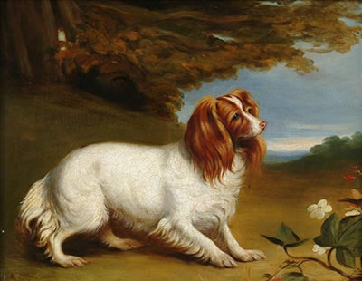 King Charles Spaniel in a landscape by Robert Richard Scanlan - Auction record, sale price, and art valuation. Compare with similar artists and explore comparable artworks.