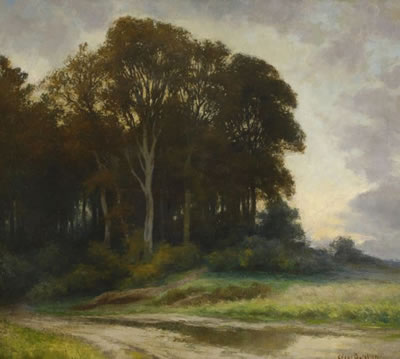 Wooded landscape