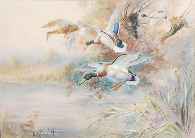 Mallard in flight by William Edward Powell - Auction record, sale price, and art valuation. Compare with similar artists and explore comparable artworks.