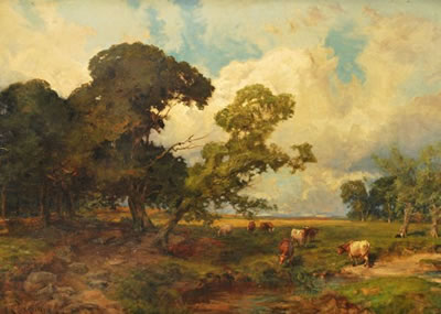 Rough pastures