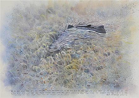 Study of a hooked Sea-trout