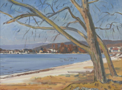Herbstliche Uferlandschaft bei Rolle