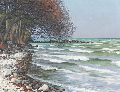 Bord du lac Léman à Crans-près-Celigny