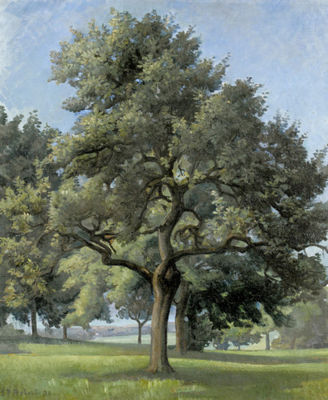 Sommerliche Landschaft mit Bäumen by Steven Paul Robert - Auction record, sale price, and art valuation. Compare with similar artists and explore comparable artworks.