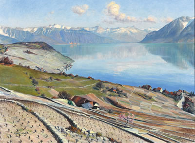 Sonnige Ansicht des Lavaux am Genfersee
