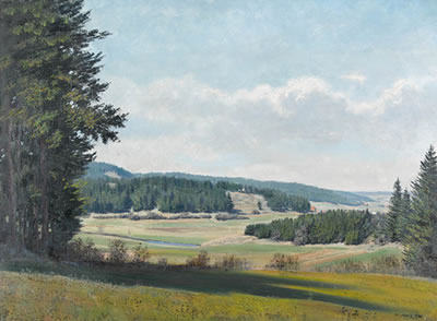 Landschaftspartie im Schwarzwald