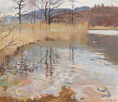 Uferpartie mit Schilf am Lago di Origlio