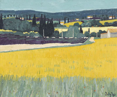 Blühende Felder in der Provence