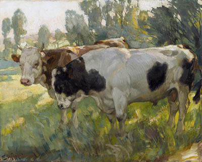 Weidende Rinder
