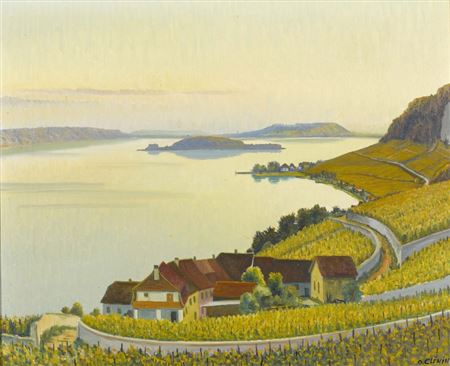 Blick auf den Bielersee mit der St. Petersinsel.