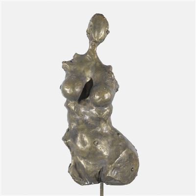 Torso