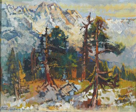 Berglandschaft mit Nadelbäumen.