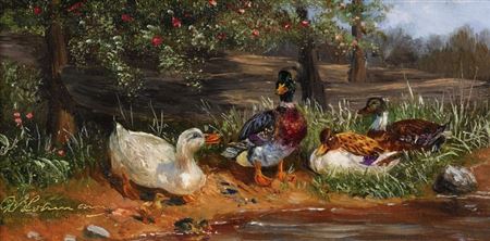 Enten am Teichufer