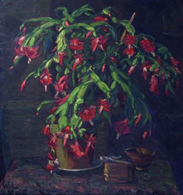 Blühendes Epiphyllum (1926)