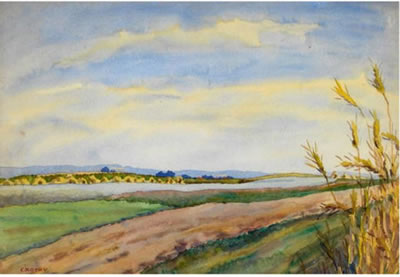 Sommerlandschaft