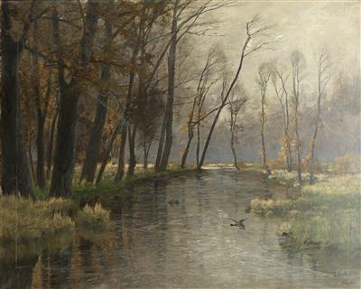 Aulandschaft