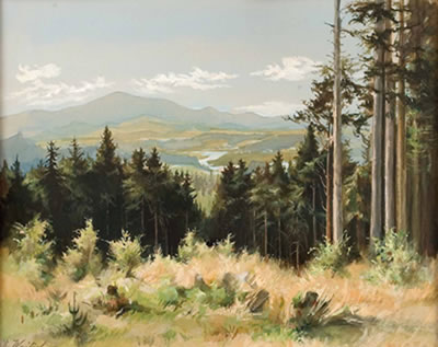 Innviertler Landschaft by Emmy Woitsch - Auction record, sale price, and art valuation. Compare with similar artists and explore comparable artworks.