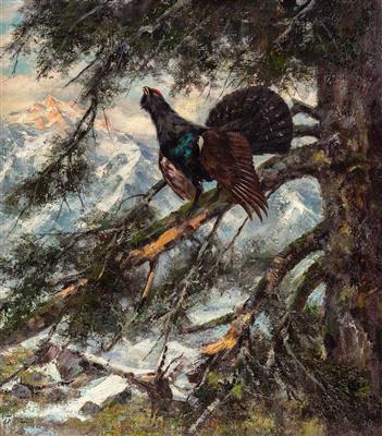 Balzender Auerhahn