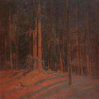 Inside a Forest