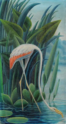 A Flamingo