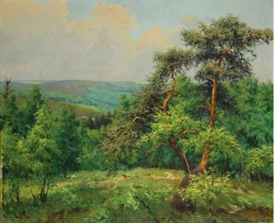 Sommerlandschaft mit Kiefer