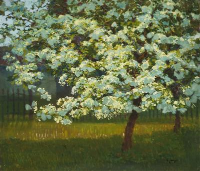 An Orchard in Blossom