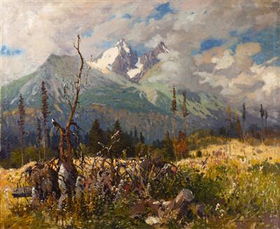 Summer in the Mountains