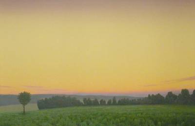 Field, Twilight