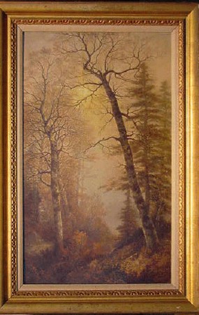 Birches in a Glen