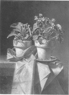 The Begonias