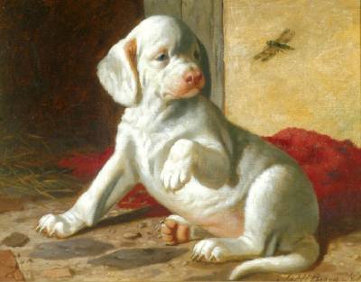 Hounded Pup