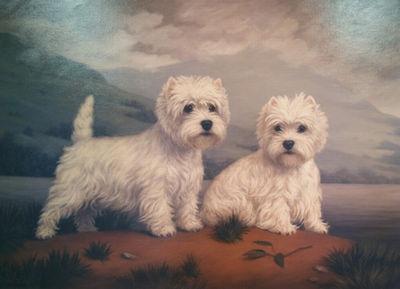 West Highland White Terriers