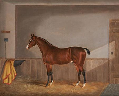 'TOFFY', A CHESTNUT HUNTER IN A STABLE AND 'KAFFIR', A BLACK RACEHORSE IN A STABLE: TWO